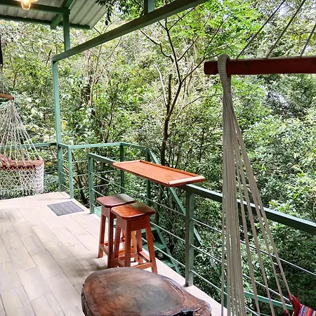 Jungle Living Tree Houses-2
