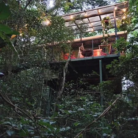 Jungle Living Tree Houses-3